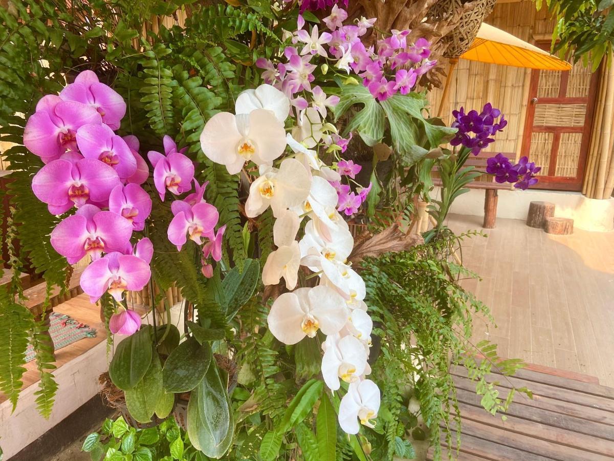 Ban Rai Jai Chaem - Spa Cafe & Homestay Exteriör bild